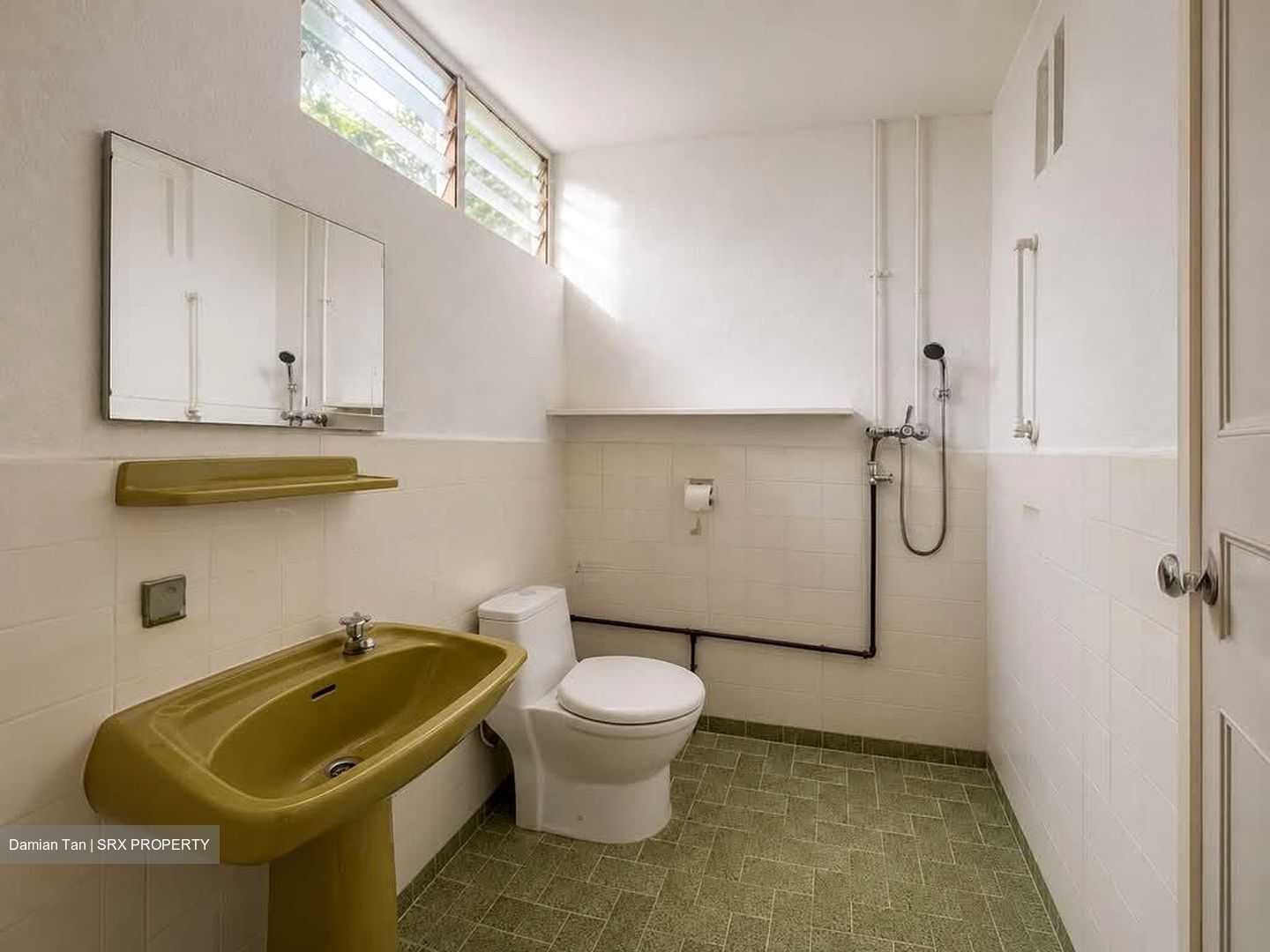 Jalan Unggas (D11), Semi-Detached #569614821